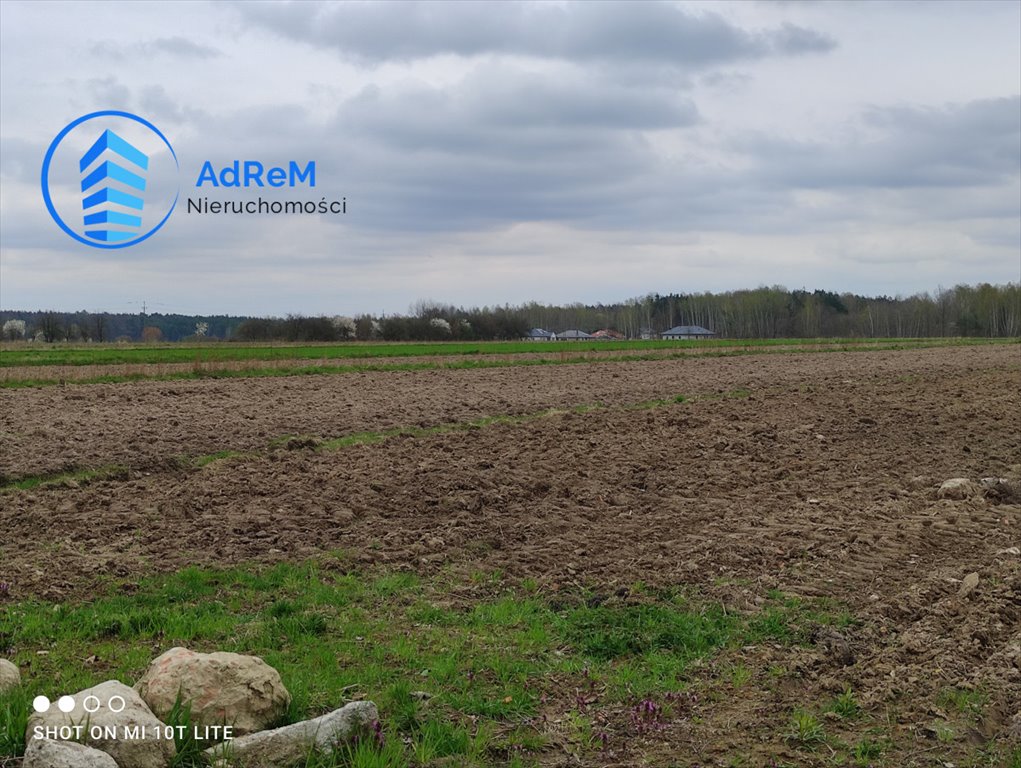 Działka budowlana na sprzedaż Koryta  1 200m2 Foto 3