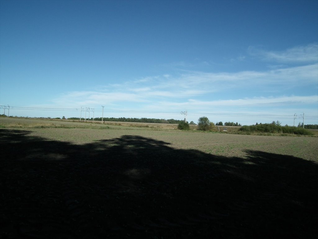 Działka siedliskowa na sprzedaż Bylice, Bylice  3 000m2 Foto 13