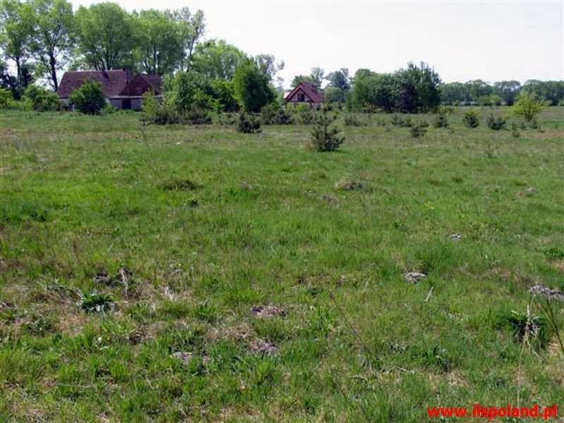 Działka inna na sprzedaż Mzdowo, ŚRÓDMIEŚCIE-CENTRUM 38 600m2 Foto 1 Działka inna na sprzedaż Mzdowo, ŚRÓDMIEŚCIE-CENTRUM 38 600m2 Foto 1