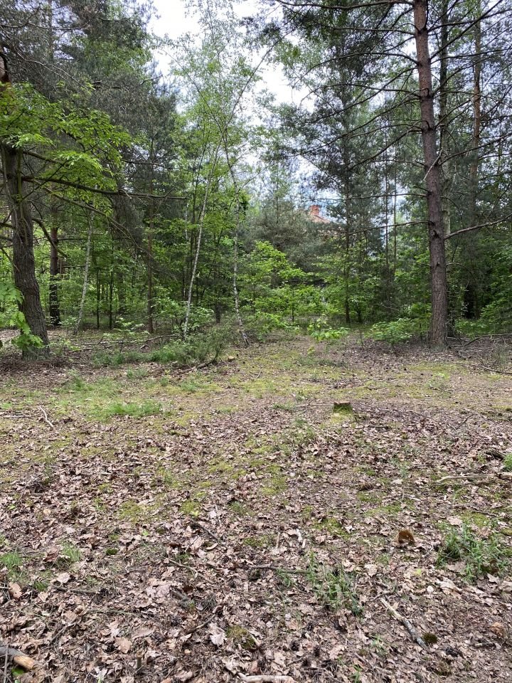 Działka leśna z prawem budowy na sprzedaż Józefow  5 000m2 Foto 4