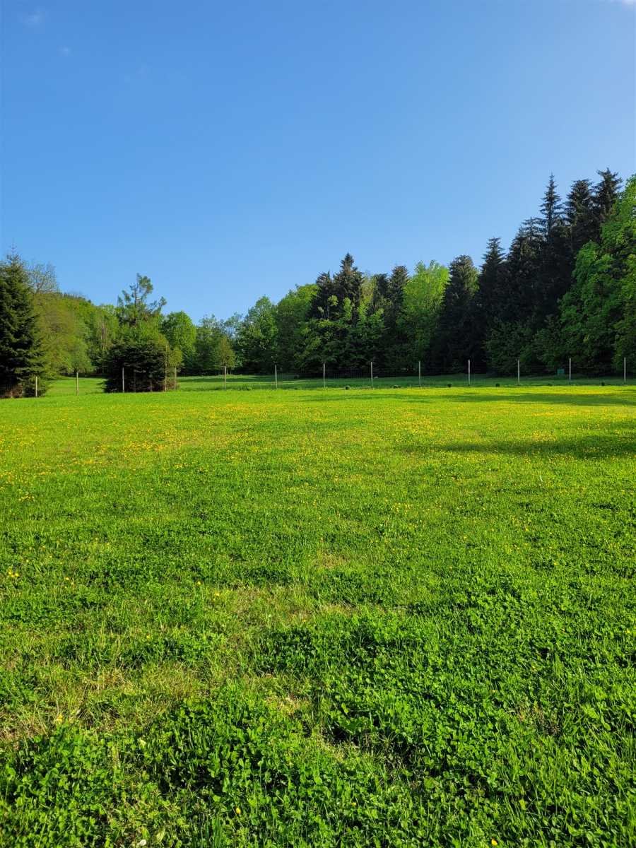 Dom na sprzedaż Radków, Pasterka  100m2 Foto 3