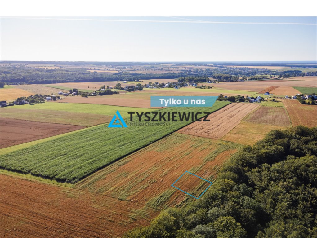 Działka rolna na sprzedaż Lisewo, Leśna  3 032m2 Foto 1