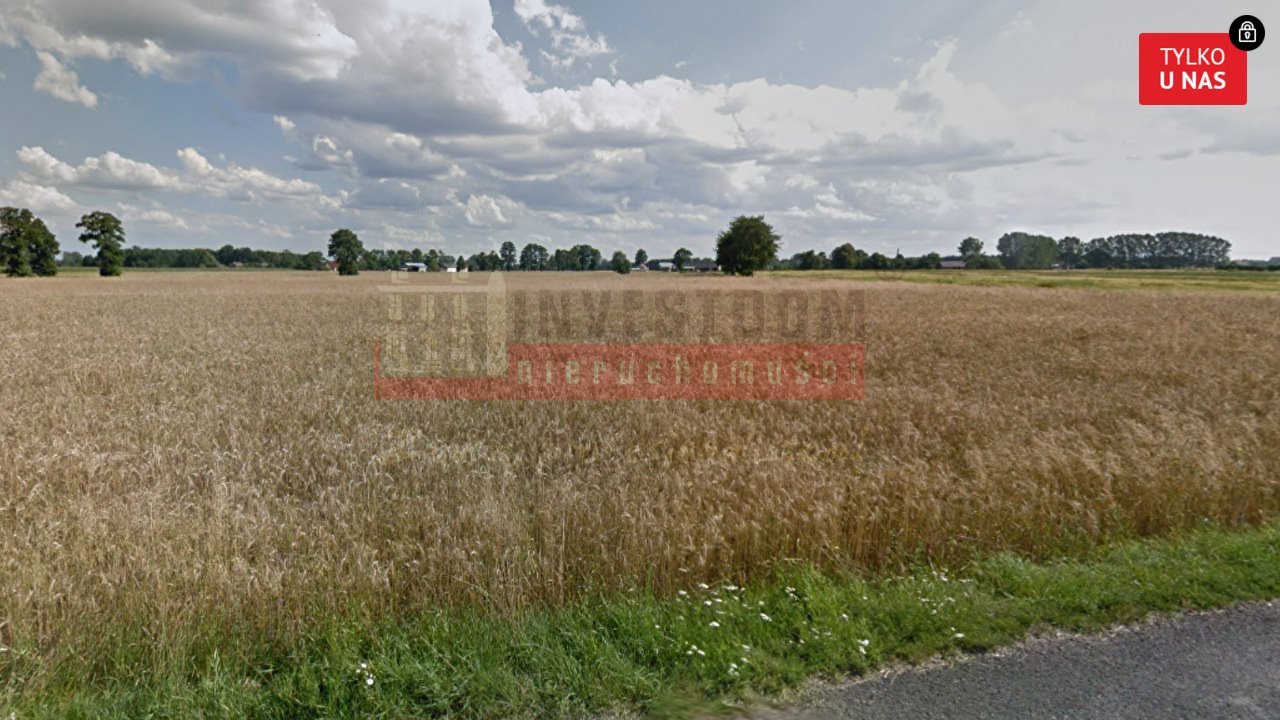 Działka 12 400 m² w Ładzy z mediami i dojazdem Ładza  12 400m2 Foto 1