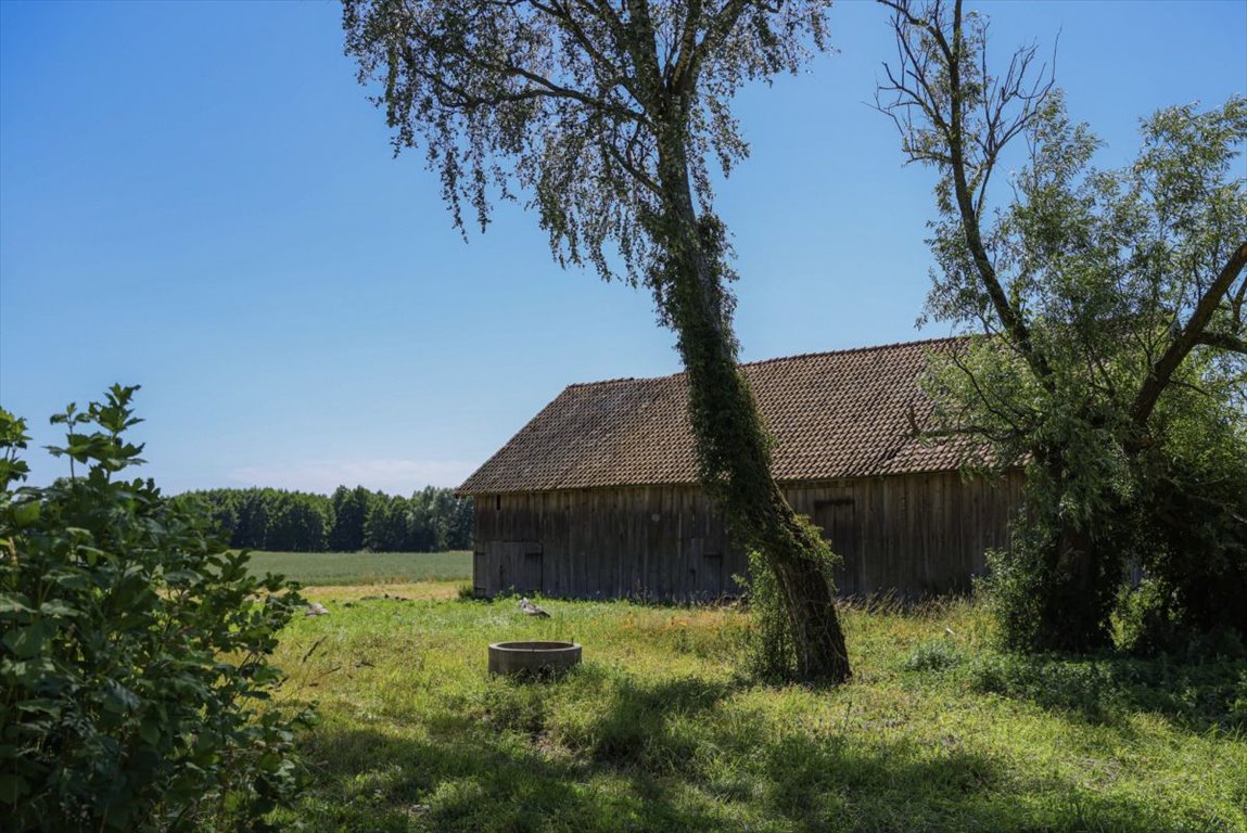 Działka siedliskowa na sprzedaż Stare Siedlisko  135 470m2 Foto 5