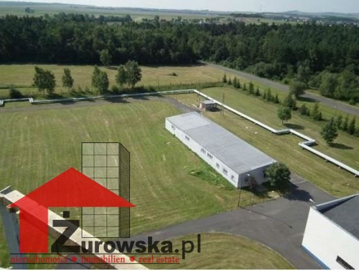 Polecam magazyn 548 m² z biurem i placem w Strzelcach Opolskich Strzelce Opolskie  548m2 Foto 1