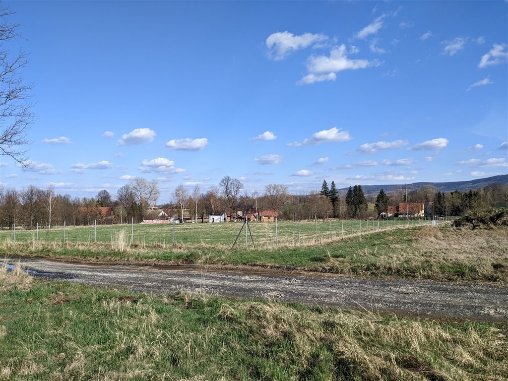 Działka budowlana na sprzedaż Wolimierz  3 000m2 Foto 5