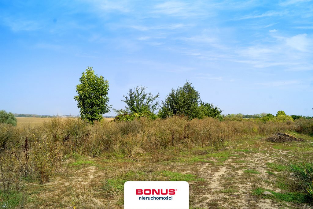 Działka 4955 m2 z warunkami zabudowy magazynowej i dostępem Kamieniec  4 955m2 Foto 1