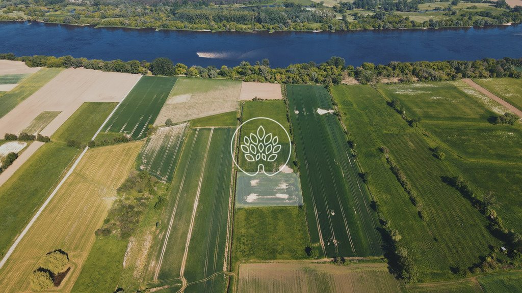 Działka rolna na sprzedaż Strzelce Dolne  5 881m2 Foto 4