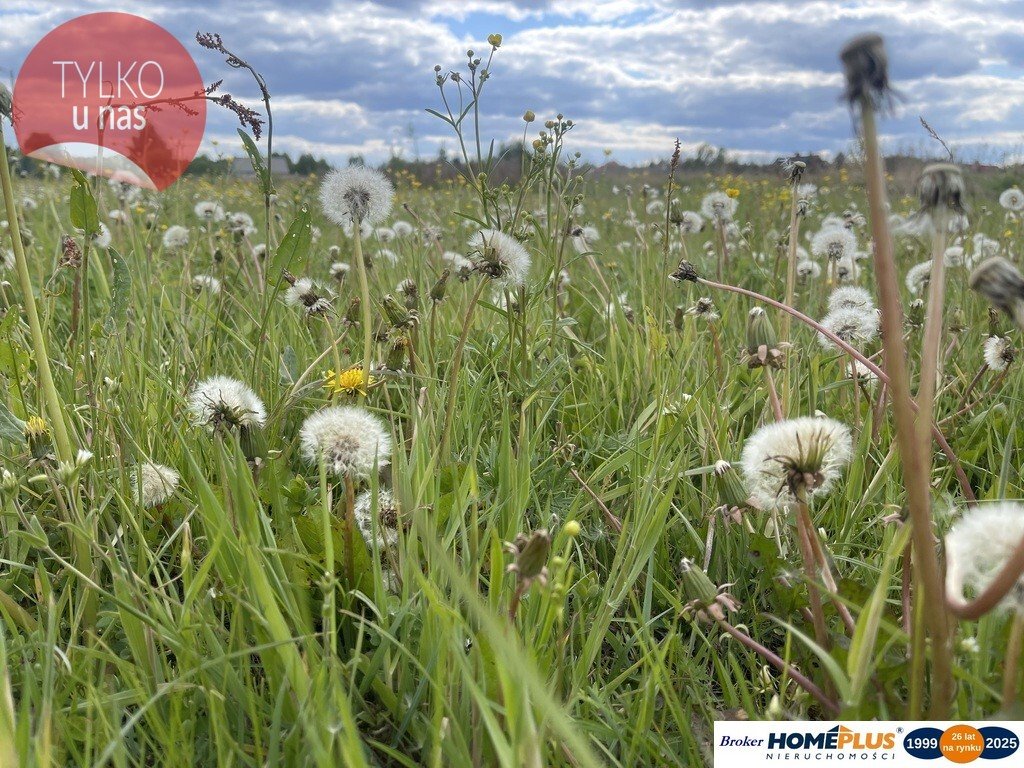 Działka budowlana na sprzedaż Ciemne  41 902m2 Foto 1