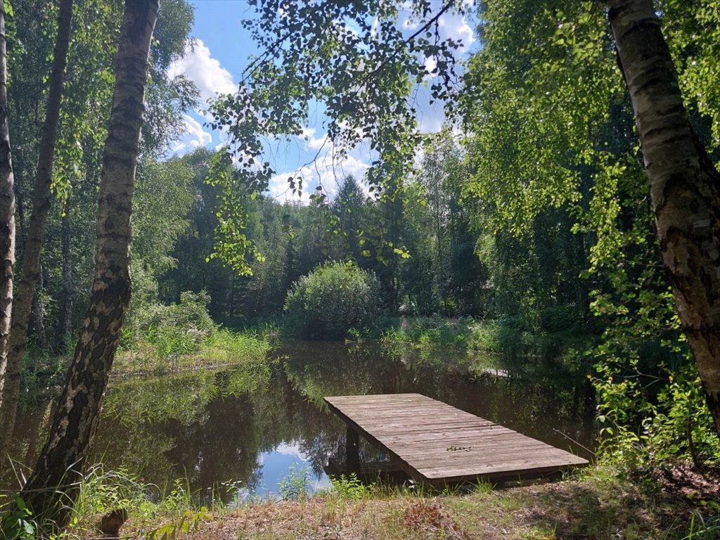 Działka budowlana na sprzedaż Iława, Iława, Starzykowo  11 561m2 Foto 9