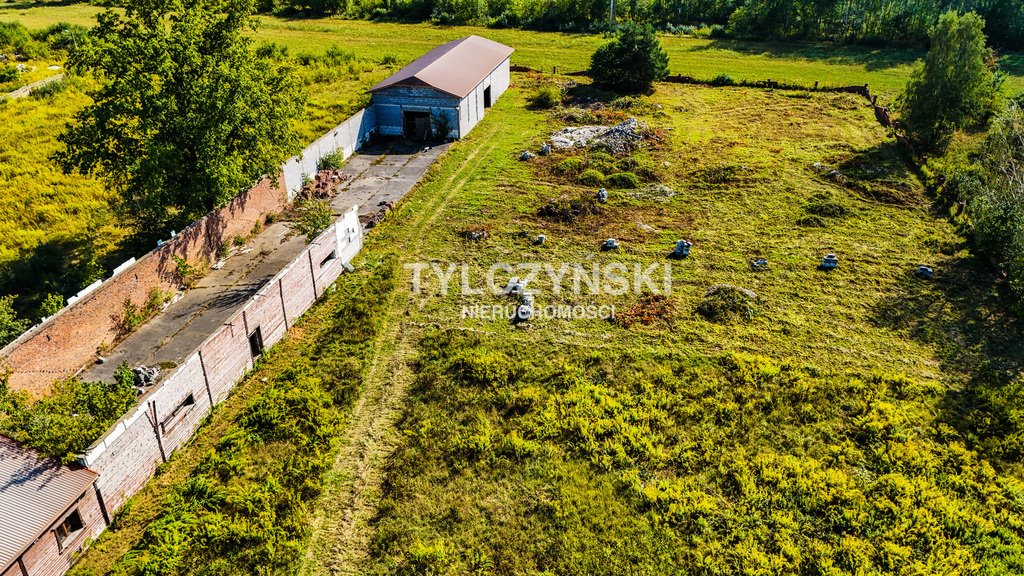 Działka budowlana na sprzedaż Kozerki  10 800m2 Foto 3