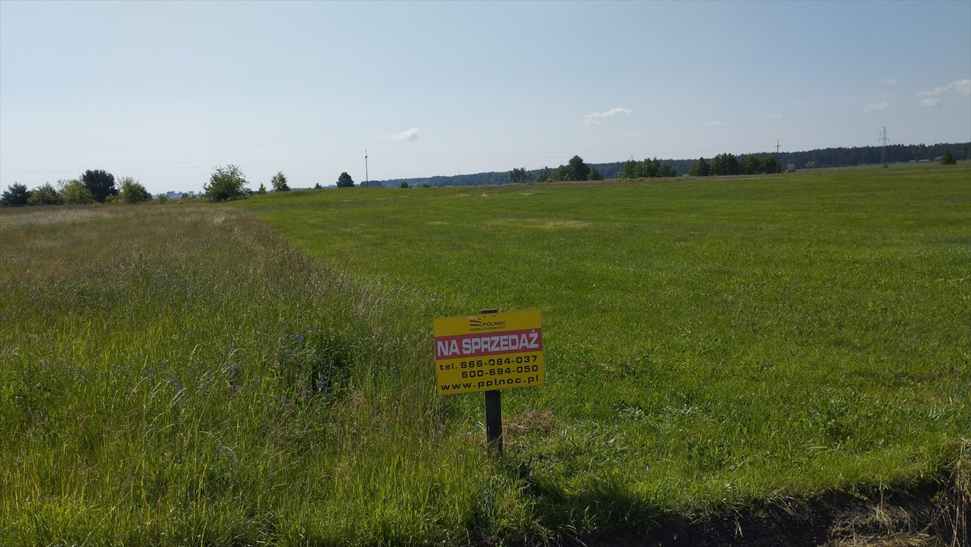 Działka budowlana na sprzedaż Jeglijowiec  3 200m2 Foto 5