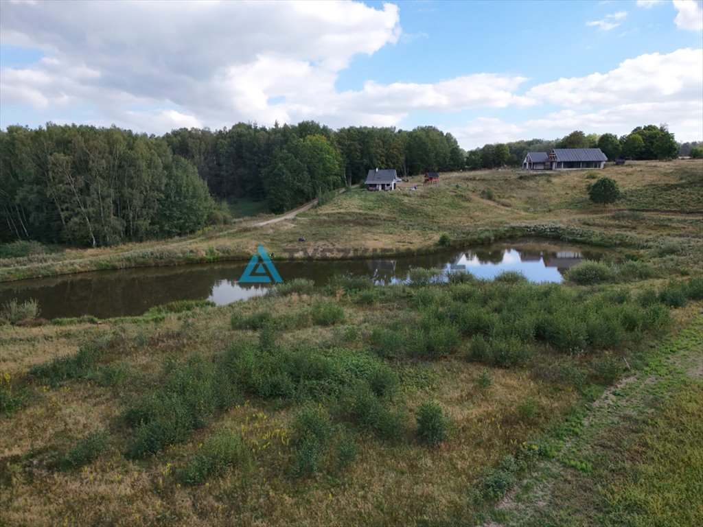 Działka siedliskowa na sprzedaż Mierzeszyn  12 301m2 Foto 6