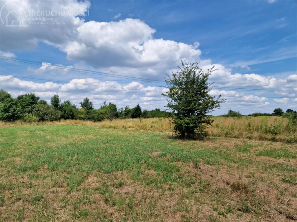 Działka budowlana na sprzedaż Krzeczów  1 100m2 Foto 12