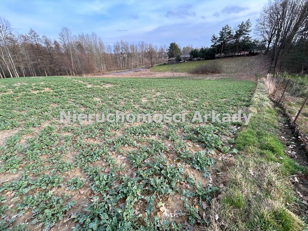 Działka inna na sprzedaż Zebrzydowice Górne, Groblowa  9 156m2 Foto 9