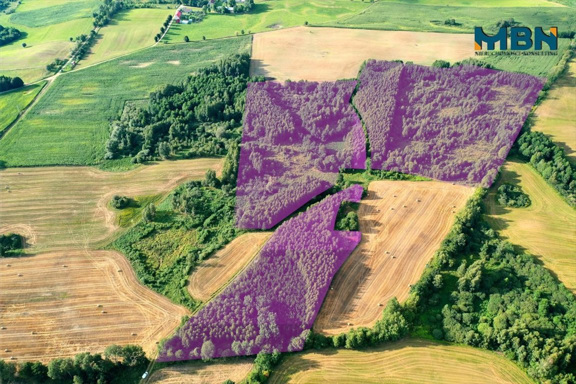 Leśna działka 11 ha z budynkiem w Miłkach - polecam Miłki, Wyszowate  109 607m2 Foto 1