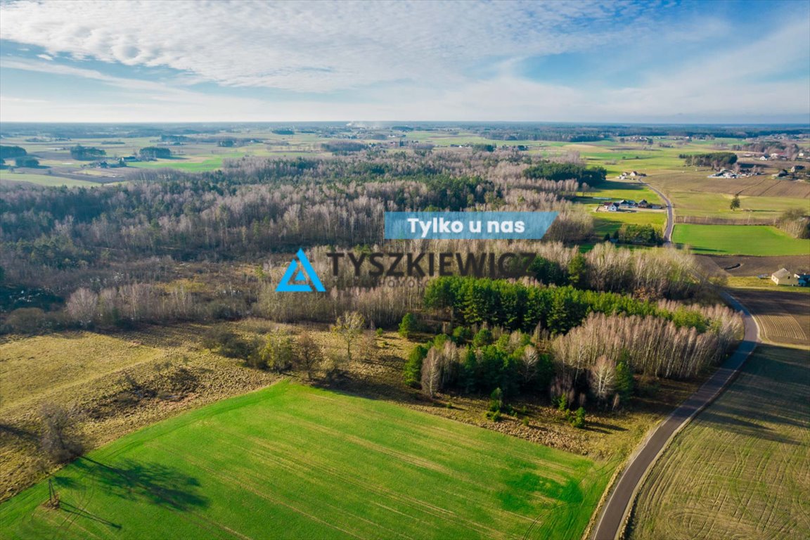 Działka 16 900 m² z lasem, warunki zabudowy, blisko jeziora Nowe Prusy  16 900m2 Foto 1