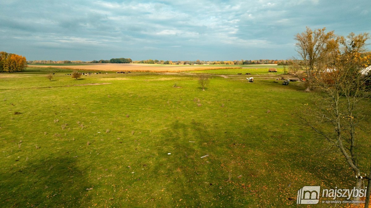 Działka rolna na sprzedaż Korytowo, centrum  13 800m2 Foto 2