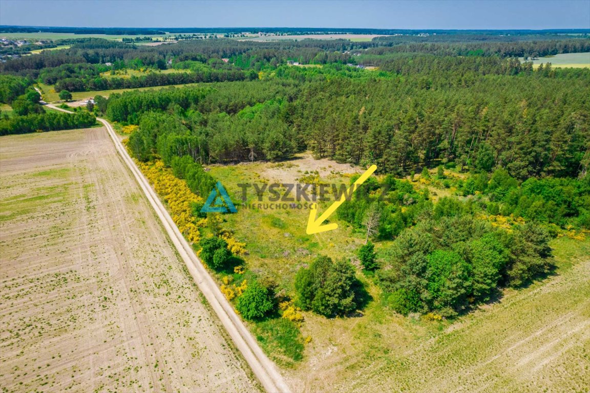 Działka rolna na sprzedaż Dębnica Kaszubska, Piaskowa  10 428m2 Foto 2