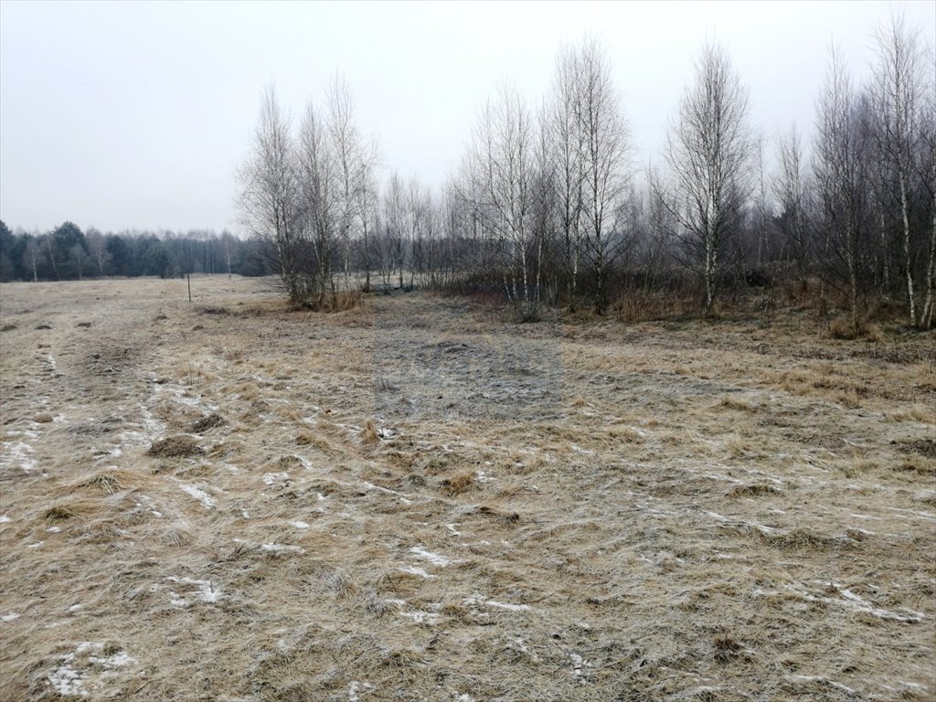 Działka budowlana na sprzedaż Wola Mokrzeska, Leśna  1 500m2 Foto 6