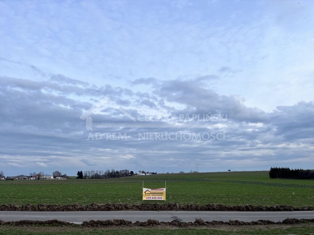 Działka budowlana na sprzedaż Bogucin, Bogucin  3 900m2 Foto 4