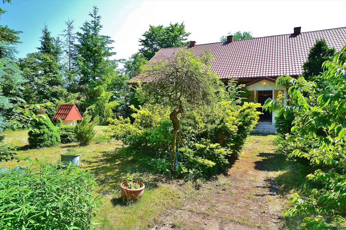 Urokliwy dworek 210 m2 z dużym tarasem i ogrodem Sudzin, Sudzin  210m2 Foto 1