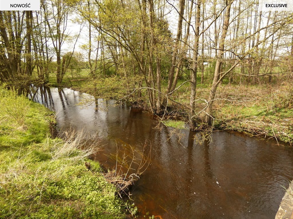 Dom na sprzedaż Budzieszewice  126m2 Foto 4