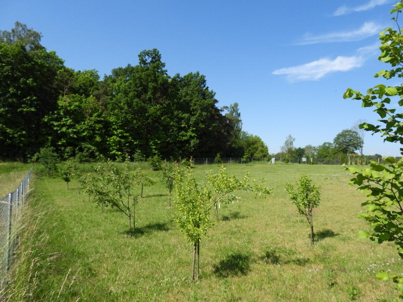 Działka siedliskowa na sprzedaż Nejdyki, gmina Iława, Nejdyki  3 006m2 Foto 14