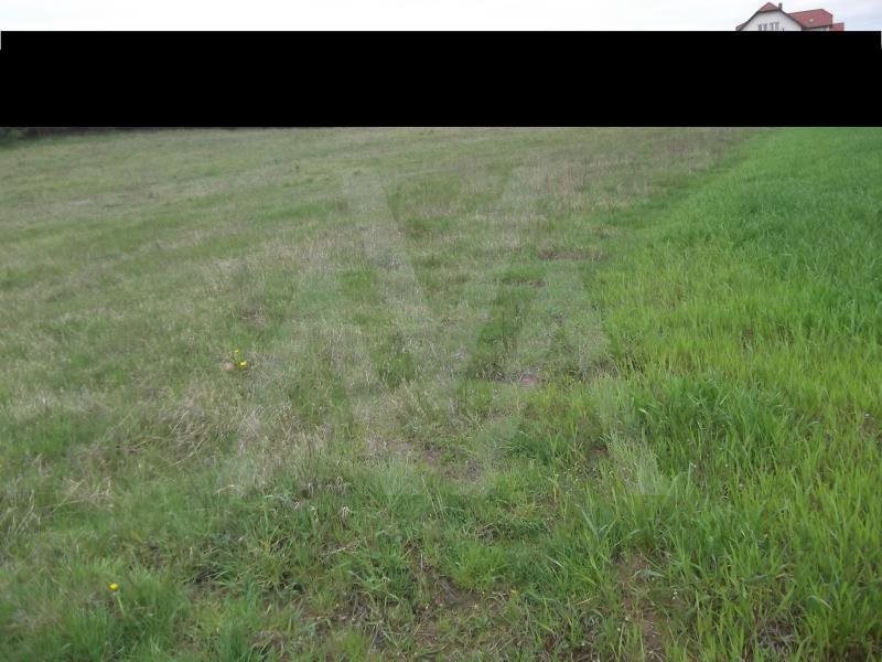 Działka siedliskowa na sprzedaż Trąbki Małe, Las, Polna 3 800m2 Foto 1 Działka siedliskowa na sprzedaż Trąbki Małe, Las, Polna 3 800m2 Foto 1