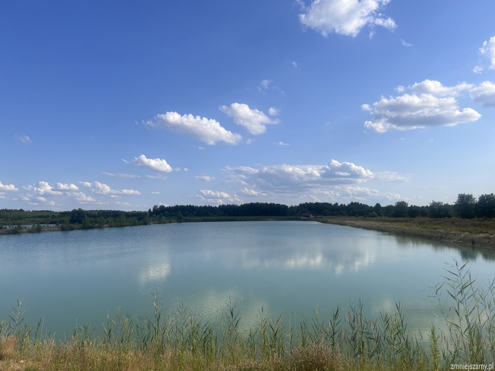 Działka budowlana na sprzedaż Radomyśl nad Sanem, Chwałowice  1 150m2 Foto 2