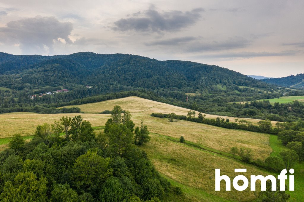 Działka inna na sprzedaż Procisne  624 100m2 Foto 5