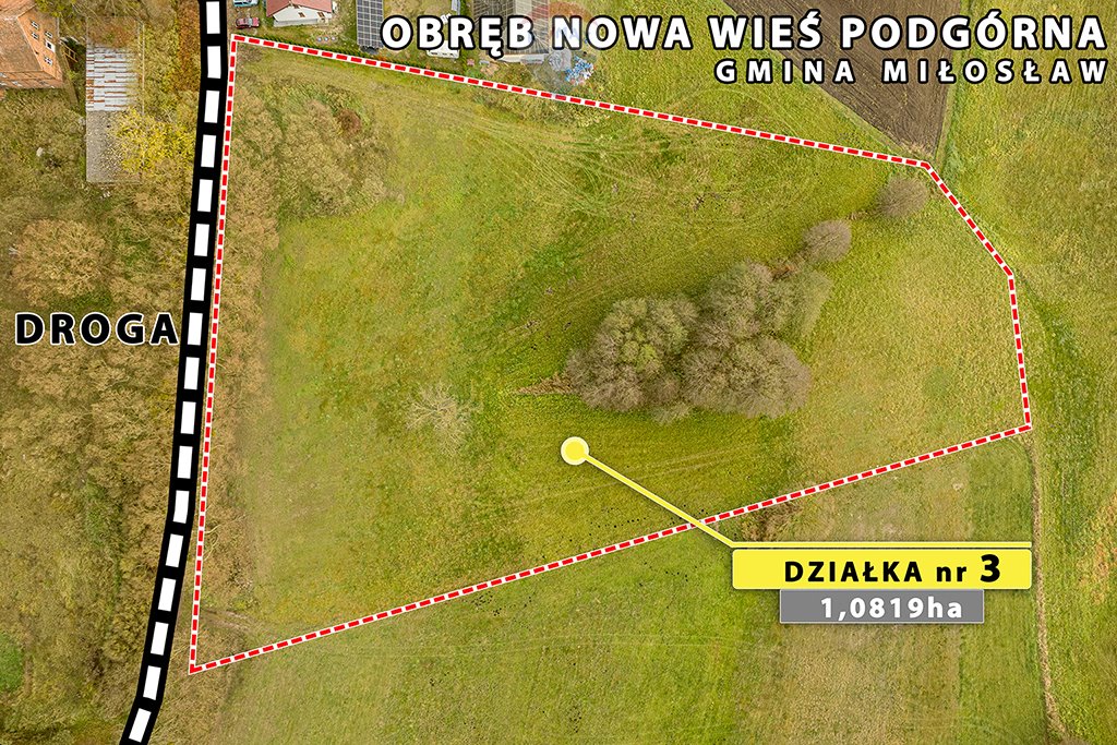 Działka budowlana na sprzedaż Nowa Wieś Podgórna  10 819m2 Foto 10