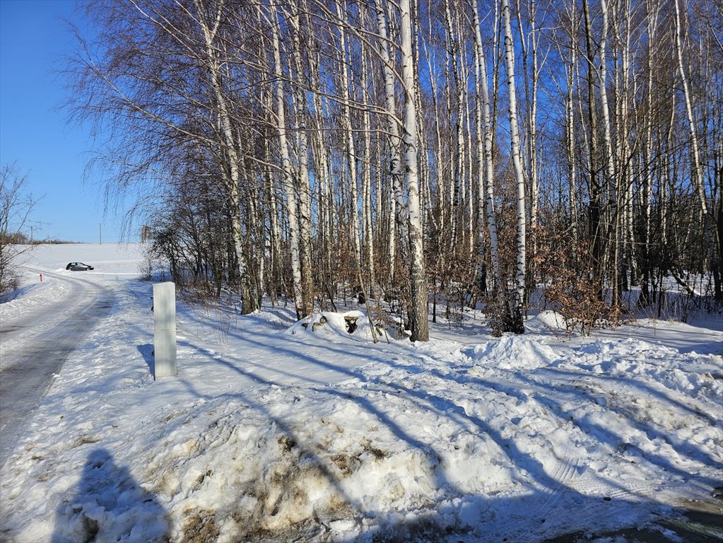 Działka 3400 m² pod domy jednorodzinne, media, Krasne Krasne, Malawa  3 400m2 Foto 1