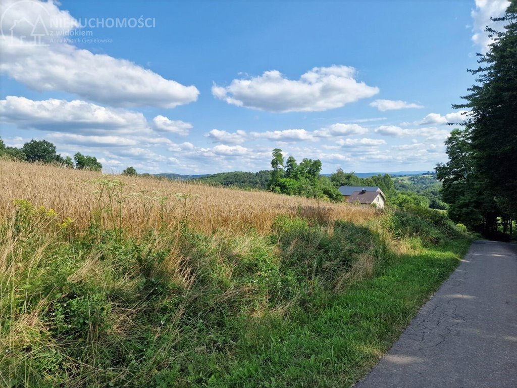 Działka budowlana na sprzedaż Błażkowa  2 200m2 Foto 10