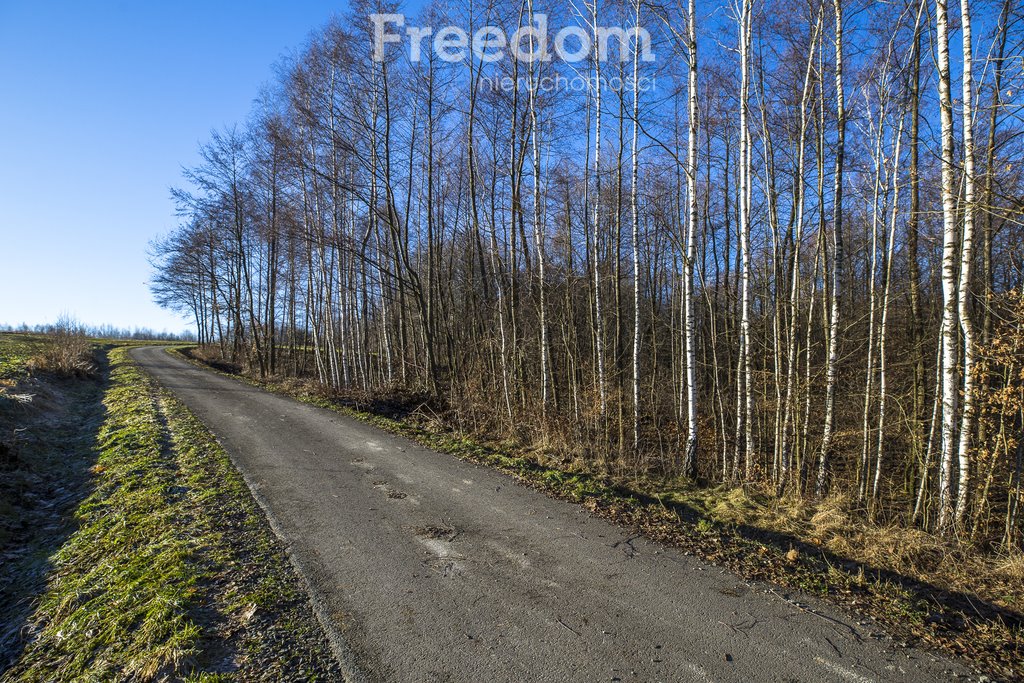 Działka budowlana na sprzedaż Błędowa Tyczyńska  2 238m2 Foto 6