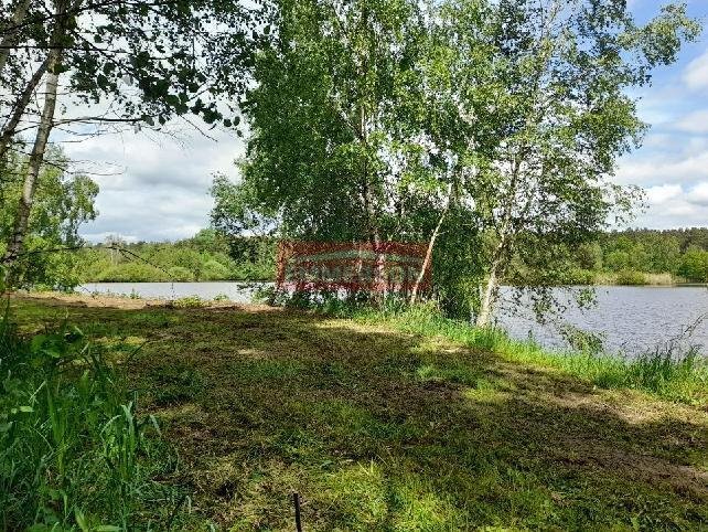 Działka rekreacyjna na sprzedaż Bosowice  3 000m2 Foto 3