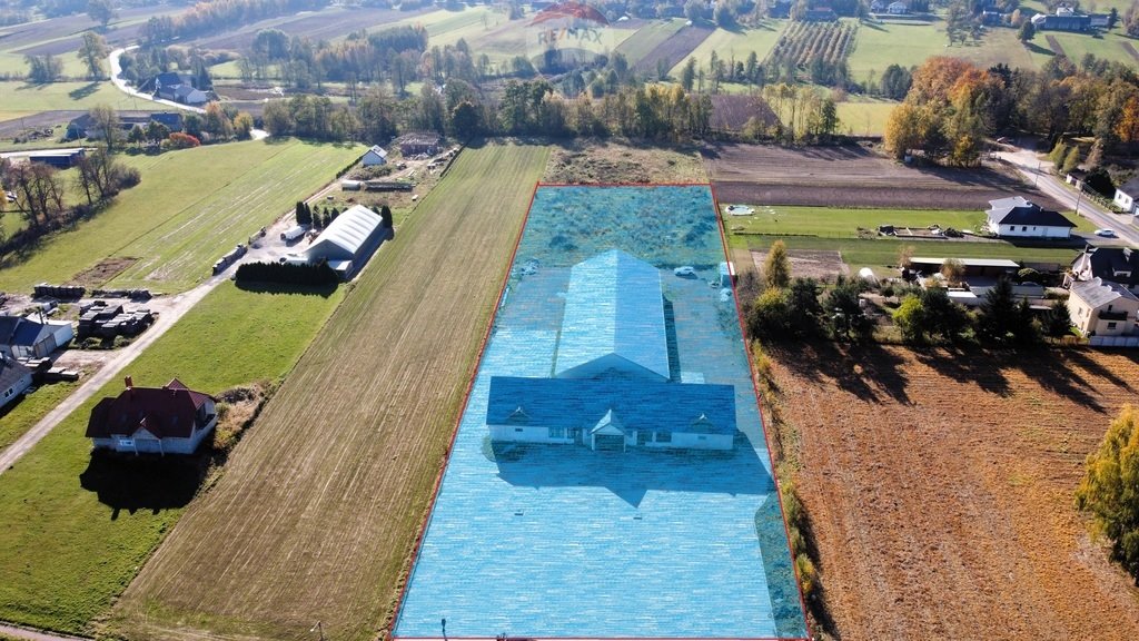 Lokal użytkowy na sprzedaż Tarczek  1 374m2 Foto 20