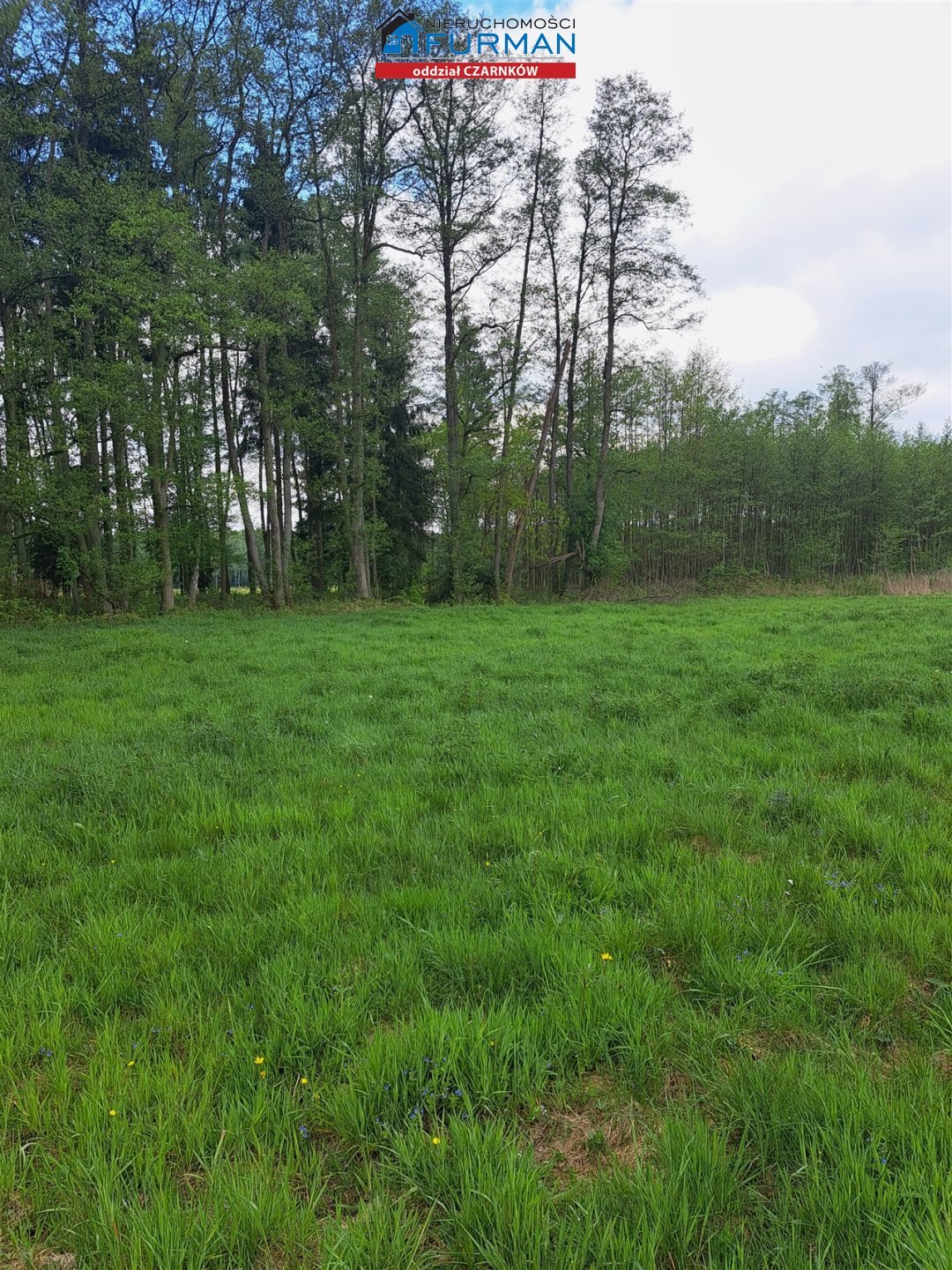 Zapraszam do zakupu działki 1265 m² w Klempiczu blisko natury Klempicz  1 265m2 Foto 1
