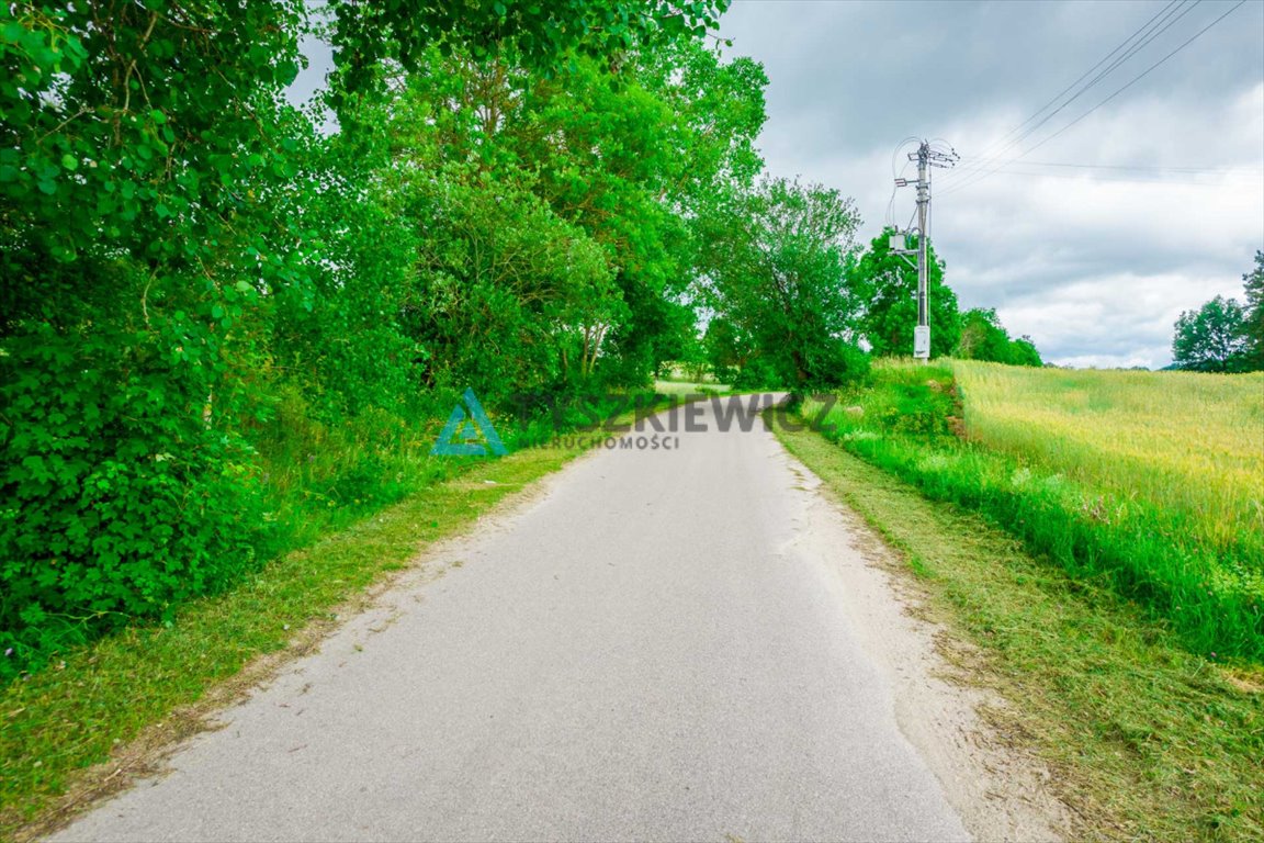 Działka budowlana na sprzedaż Dąbrówka  7 800m2 Foto 3