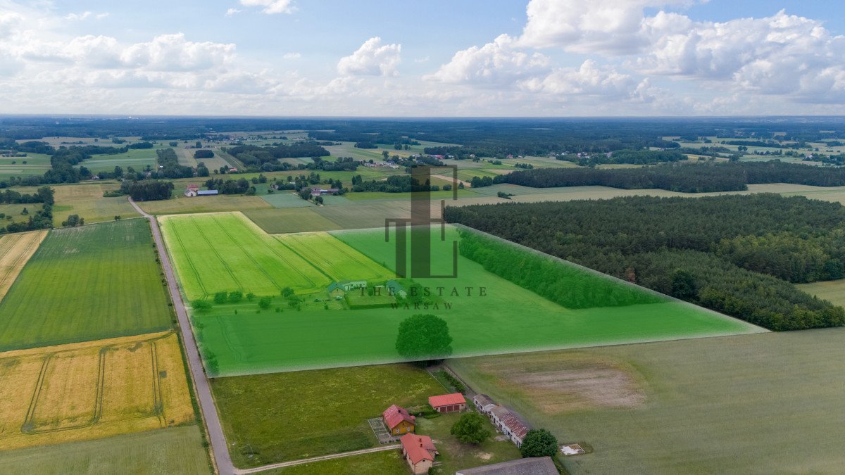 Działka siedliskowa na sprzedaż Czarnoty  130 000m2 Foto 7