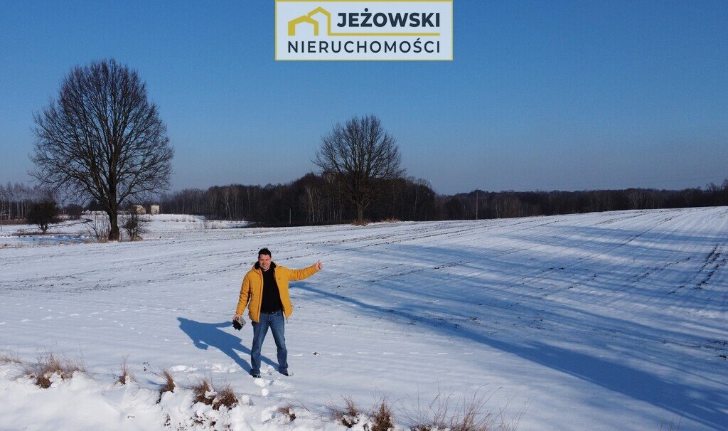 Działka rolna na sprzedaż Wierzchoniów  4 400m2 Foto 8