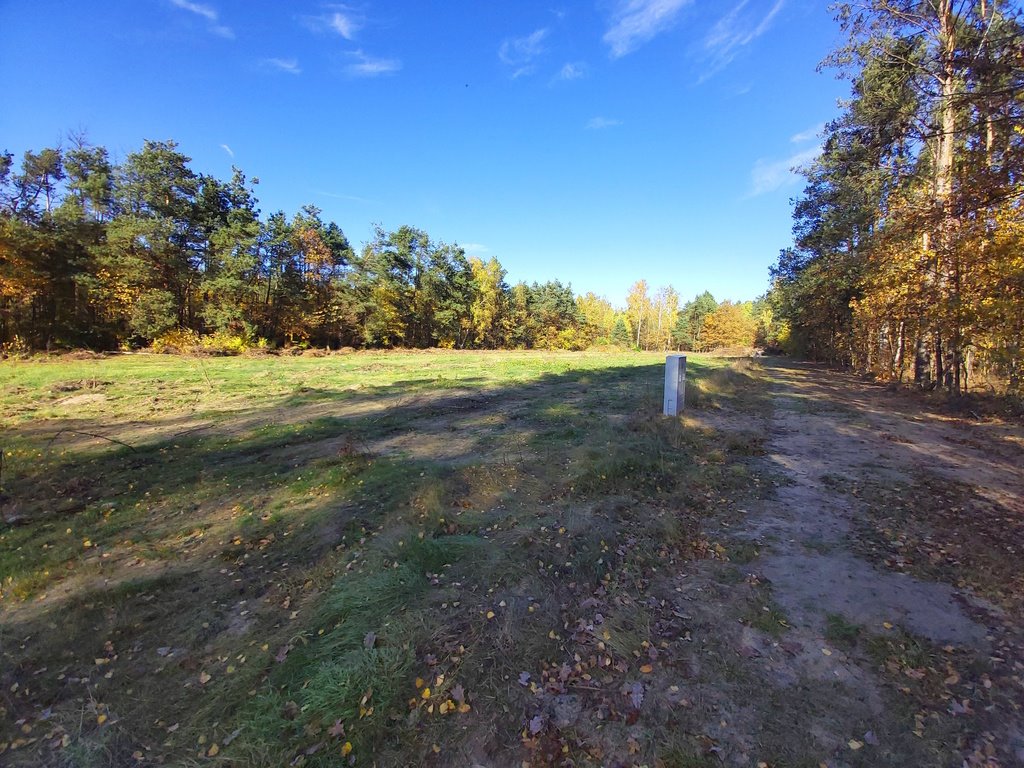 Działka budowlana na sprzedaż Łódź, Kolumny  1 000m2 Foto 3