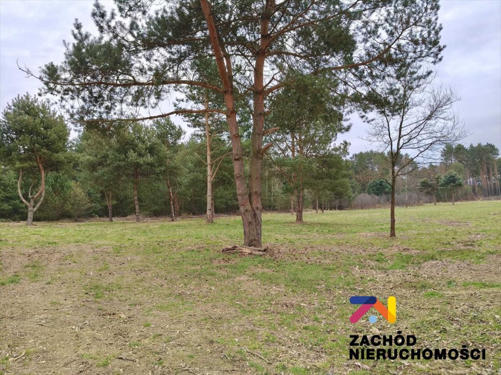 Działki budowlane w Orzewie – cisza, lasy, szybki dojazd Radomia, Orzewo  1 341m2 Foto 1