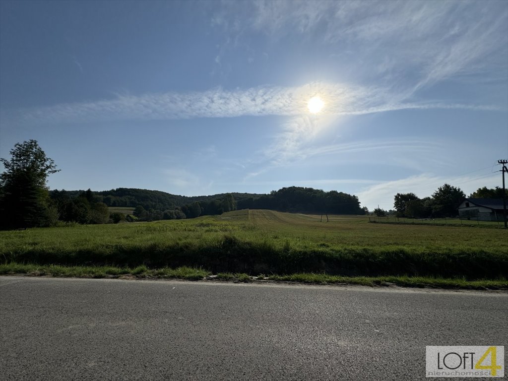 Działka inna na sprzedaż Dąbrówka Szczepanowska  5 600m2 Foto 4