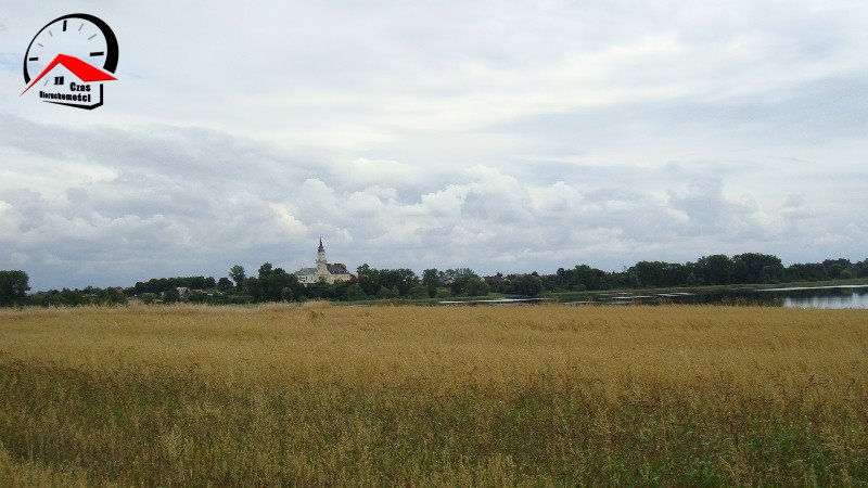 Działka gospodarstwo rolne na sprzedaż Radoszewice  3 000m2 Foto 11