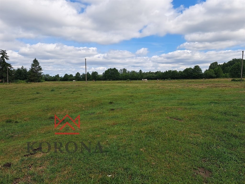 Malownicza działka 6000 m2 z widokiem na las, blisko Grajewa Szymany  6 000m2 Foto 1