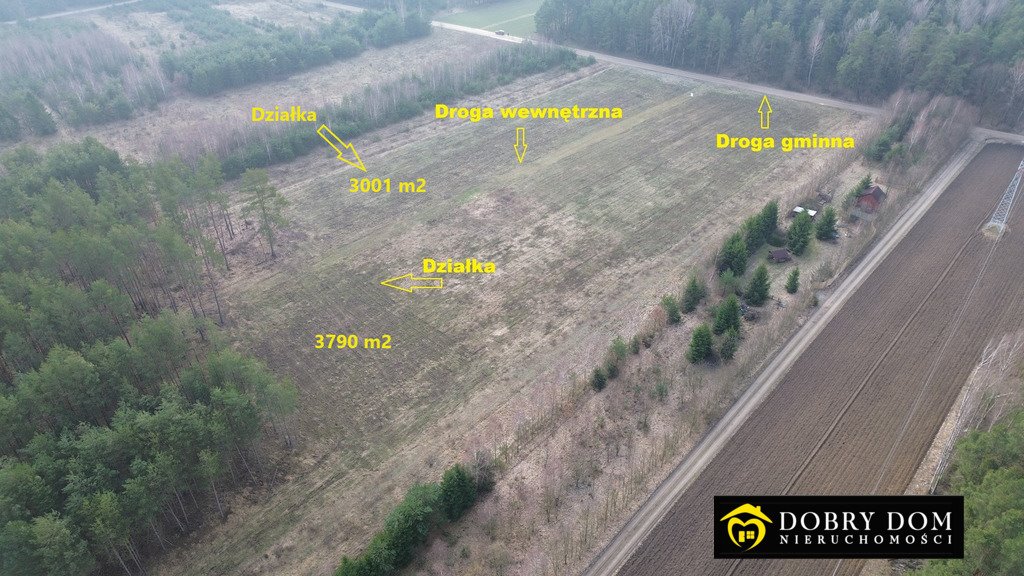 Dwie działki w Krynicach z WZ, las, media, 175 tys. Krynice  3 790m2 Foto 1