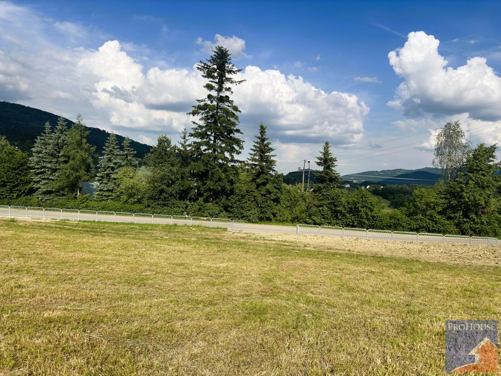 Działka budowlana na sprzedaż Pasierbiec  3 000m2 Foto 10