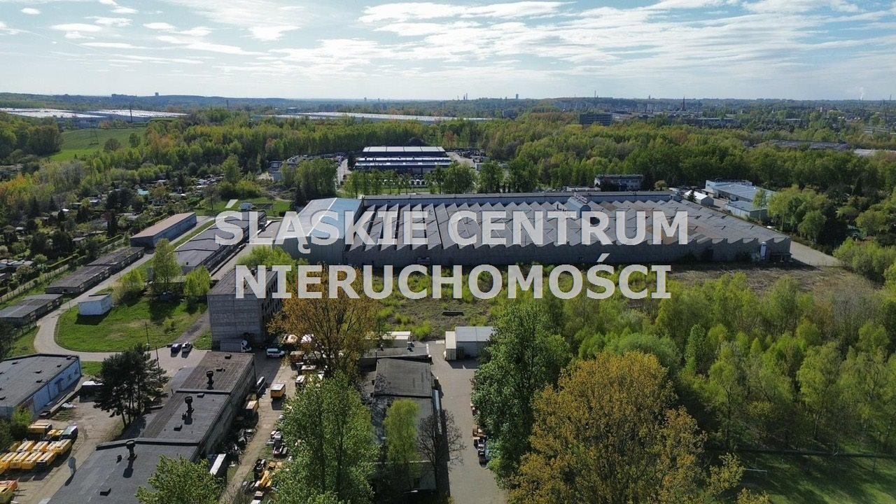 Zdjęcie 3
