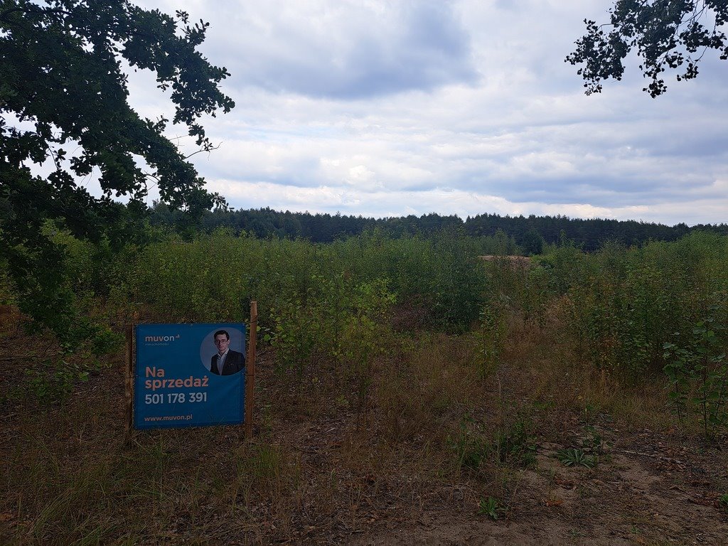 Działka rolna na sprzedaż Olszewka  43 000m2 Foto 6